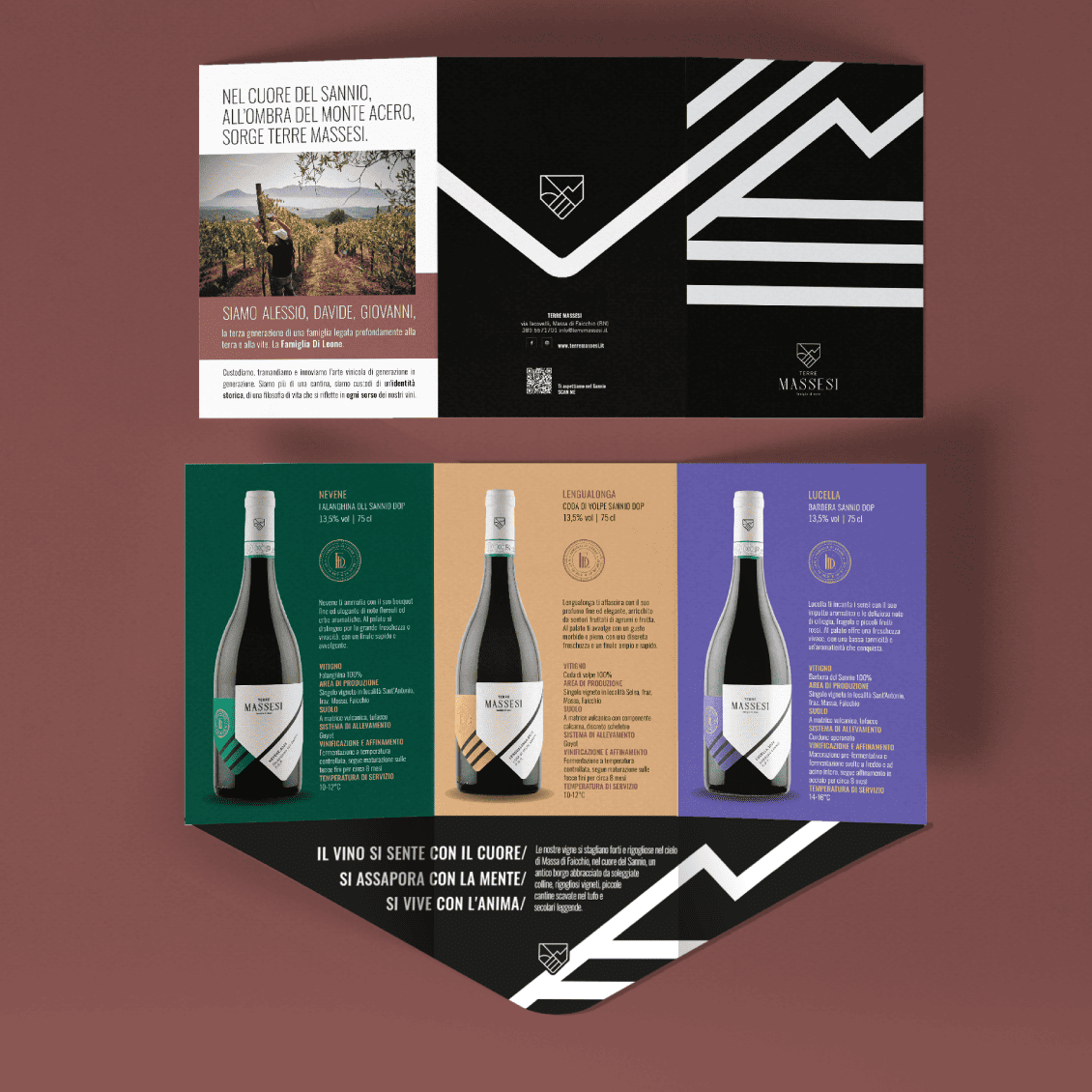 Terre Massesi - Leaflet Terre Massesi - Leaflet