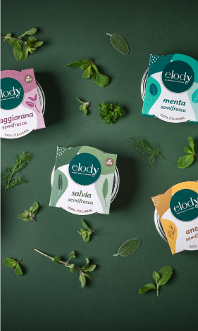 Packaging Design